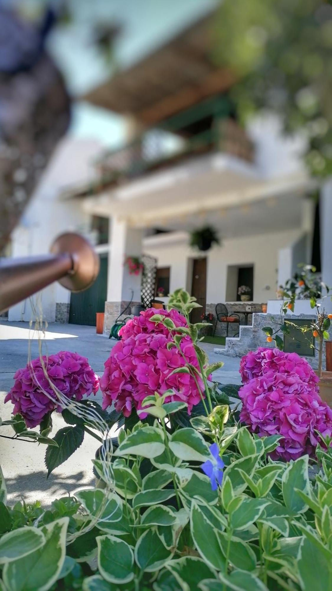 شقة La Casa De La Abuela بينوس جينيل المظهر الخارجي الصورة