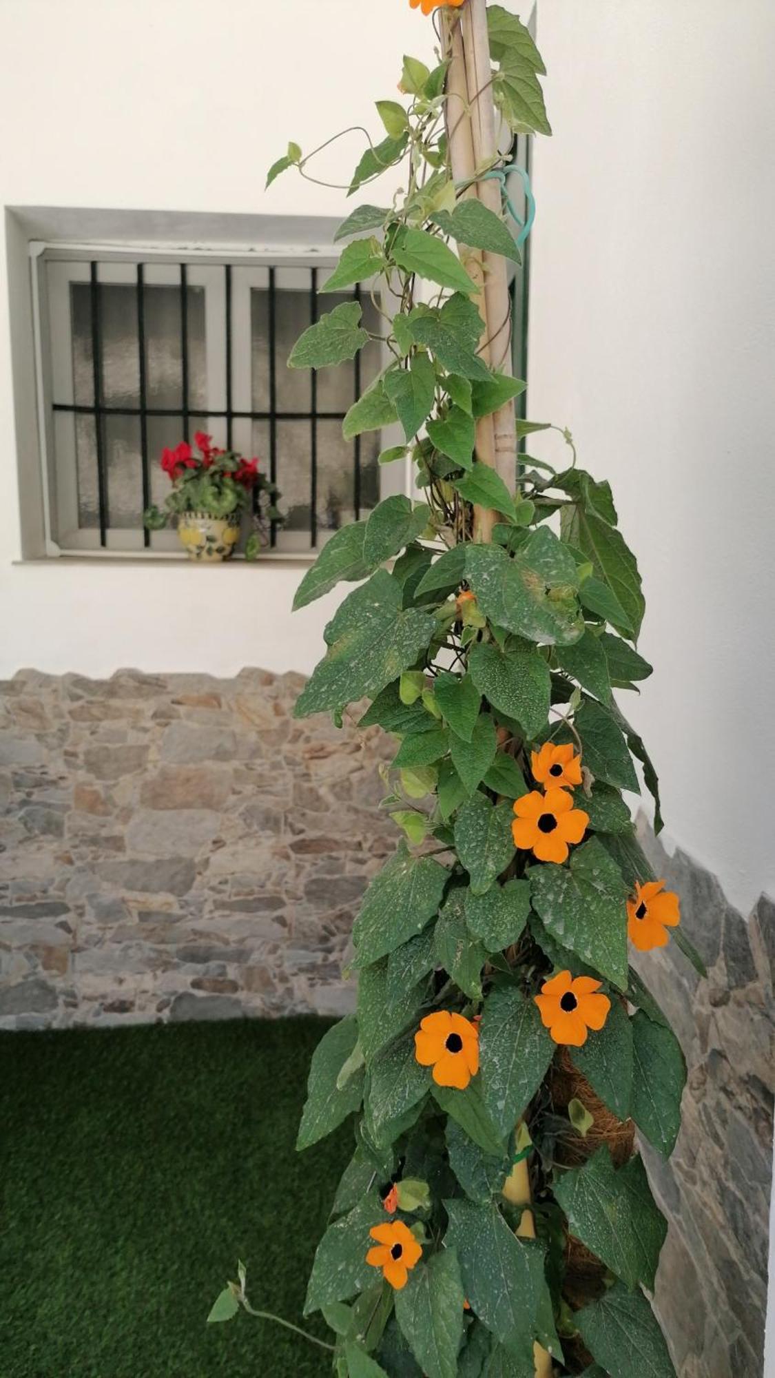 شقة La Casa De La Abuela بينوس جينيل المظهر الخارجي الصورة