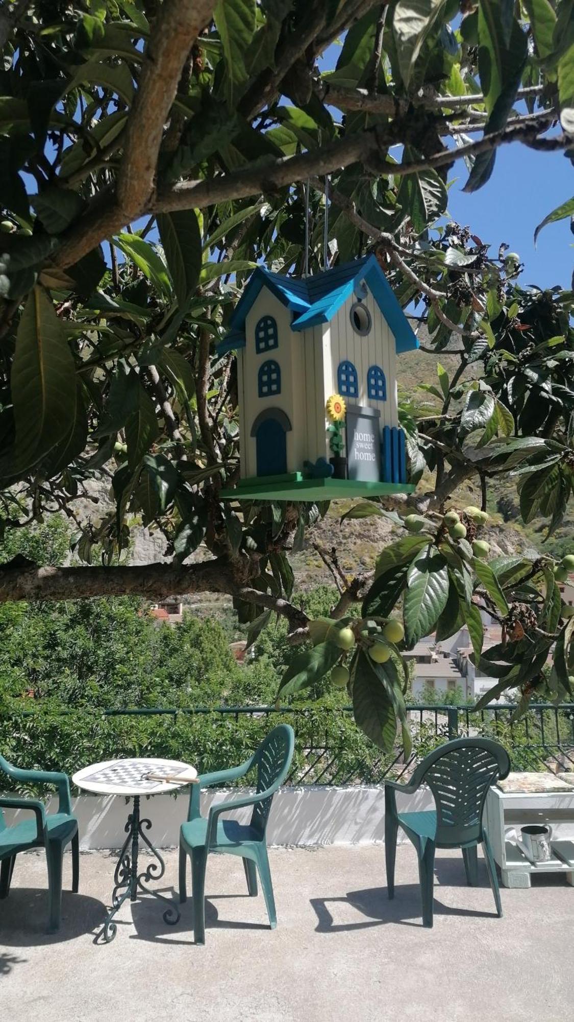 شقة La Casa De La Abuela بينوس جينيل المظهر الخارجي الصورة