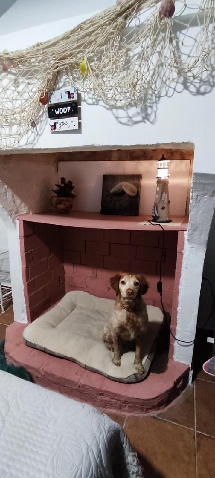 شقة La Casa De La Abuela بينوس جينيل المظهر الخارجي الصورة